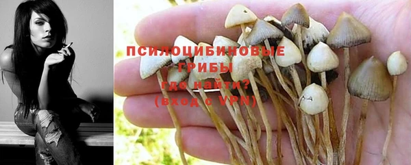 кристаллы Алзамай